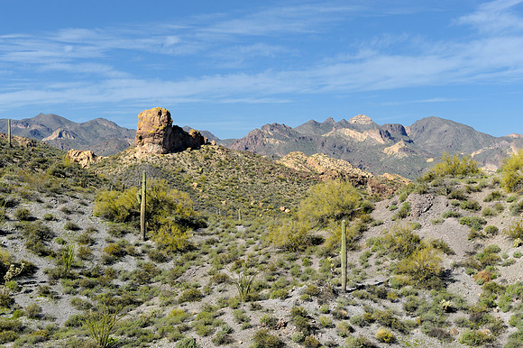 Desert landscape