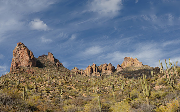 Desert landscape