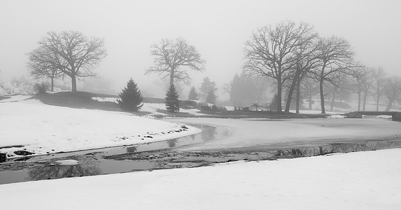 Icy pond