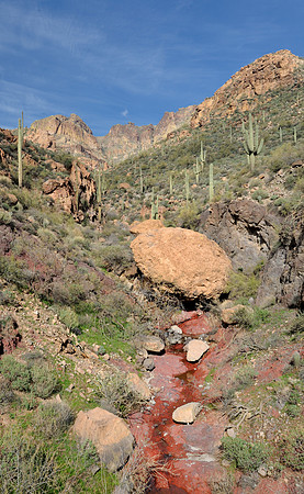 Desert stream