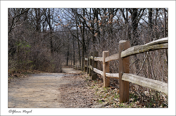 Forest path