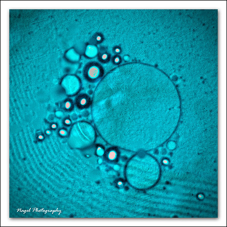 Vegetable oil abstract
