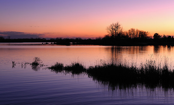 Lake Sedgewick