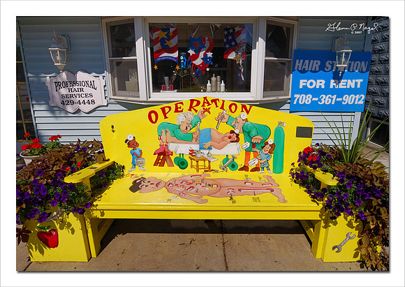 Tinley Park bench