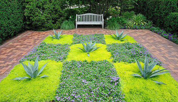 Checkerboard garden