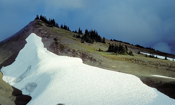 Hurricane Ridge