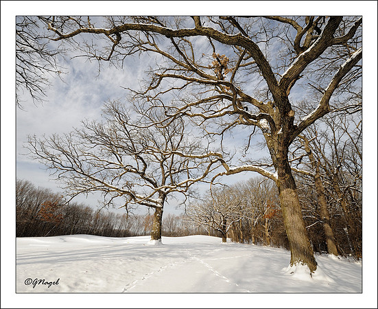 Winter landscape on the 18th hole