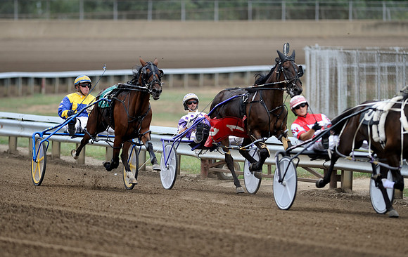 Harness racing