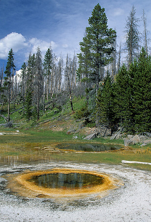 Yellowstone landscape