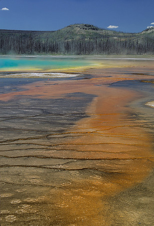 Orange runoff
