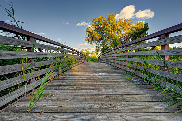 Wooden bridge