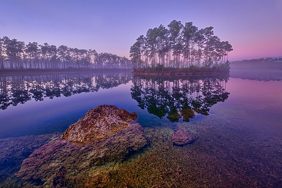 Dawn in the Everglades