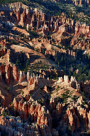Bryce Canyon details
