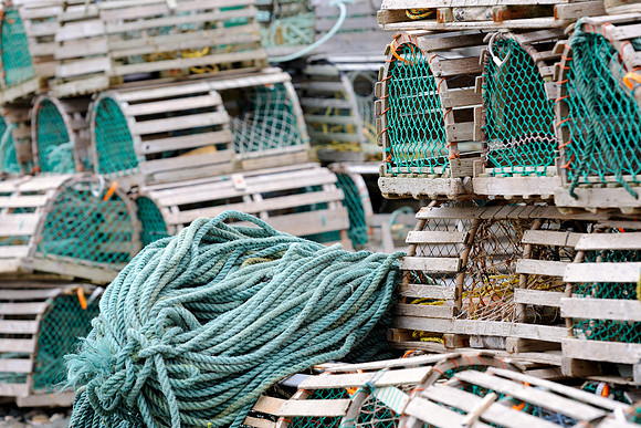 Lobster traps