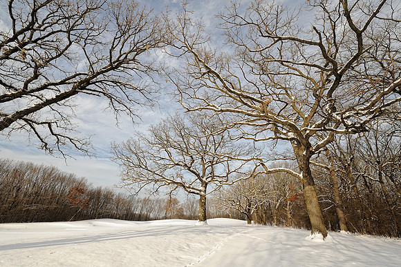 Winter landscape on the 18th hole