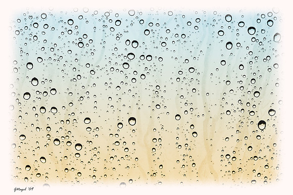 Raindrops