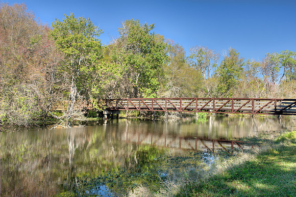 Sawgrass foot bridge