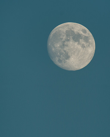 Moon