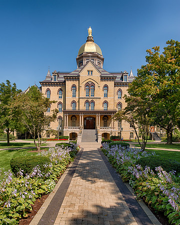 The Main Building