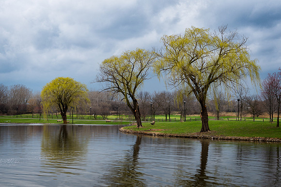 Park pond