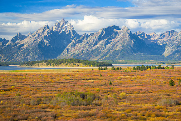 Willow Flats