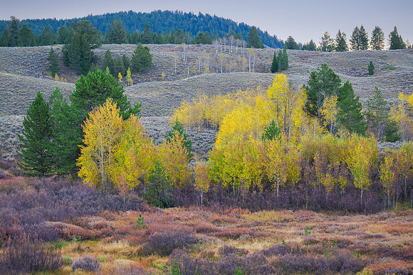 Autumn in Grand Teton