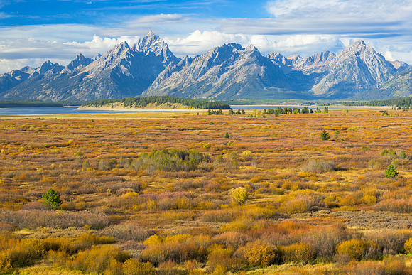 Willow Flats
