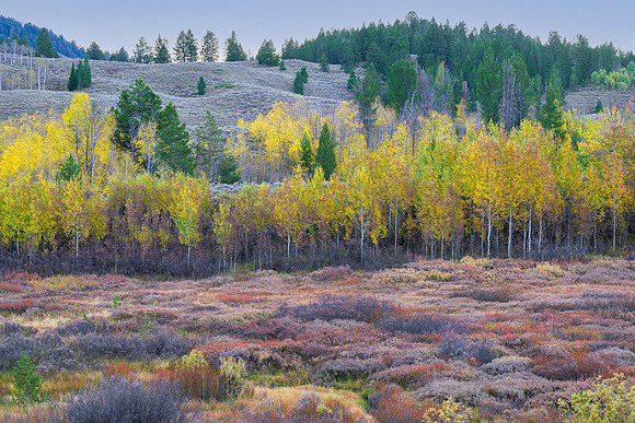 Autumn in Grand Teton