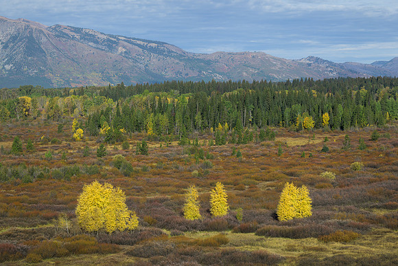 Autumn in Grand Teton