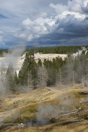 Porcelain Basin