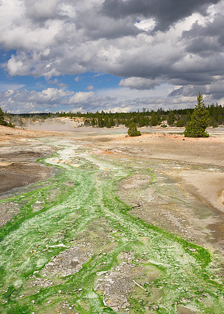 Green creek
