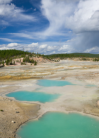 Colloidal Pool