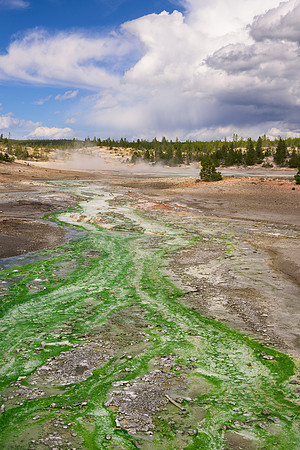 Green creek