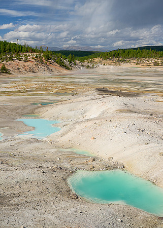 Colloidal Pool