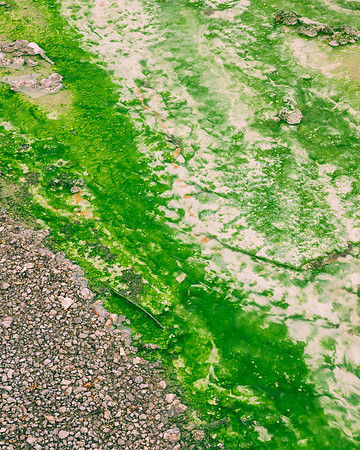 Green creek
