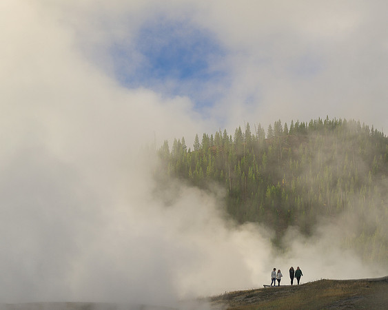 Steamy tree line