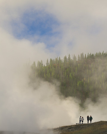 Steamy tree line