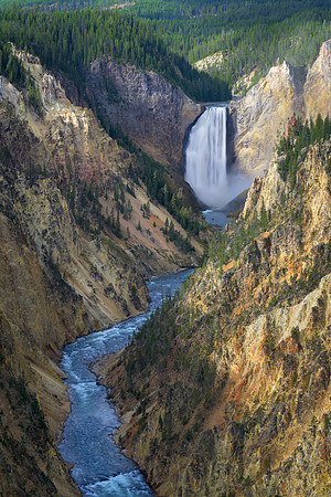 Yellowstone Falls