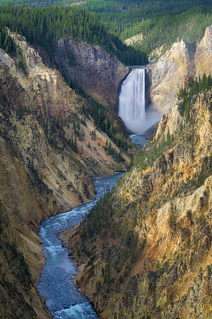 Yellowstone Falls