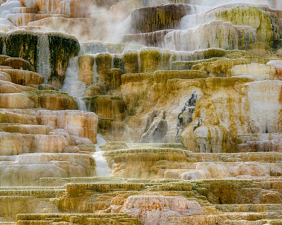Palette Spring