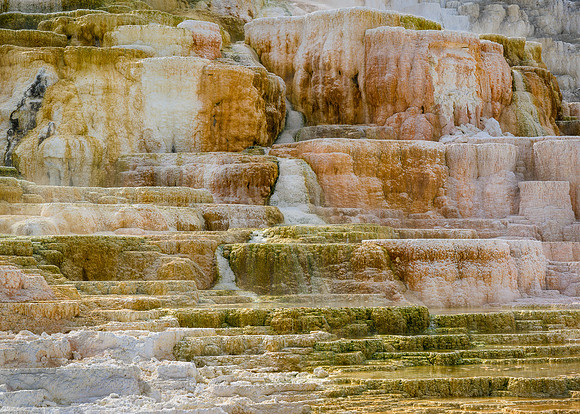 Palette Spring