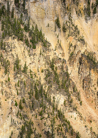 Canyon wall abstract