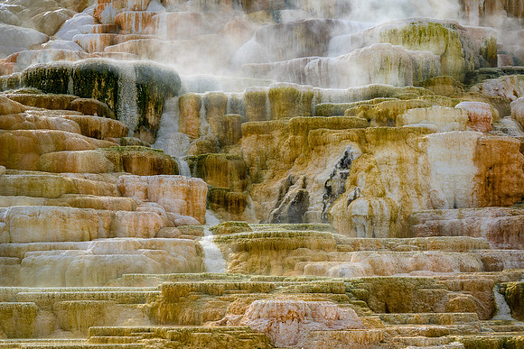 Palette Spring