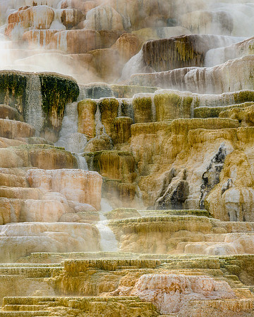 Palette Spring