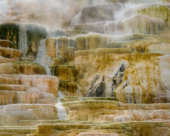 Palette Spring