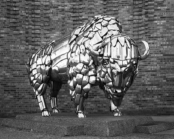 Buffalo Sculpture