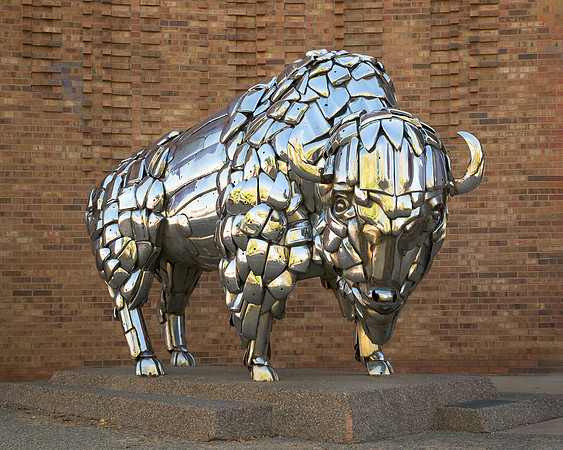 Buffalo Sculpture