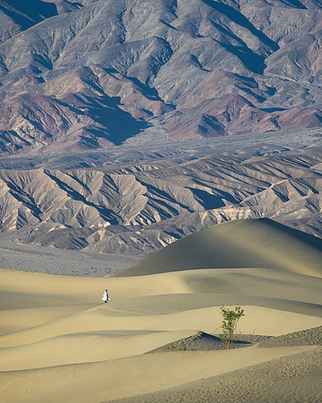Mesquite Sand Dunes