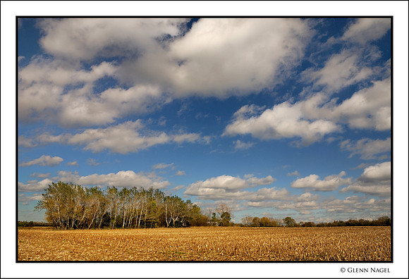 Barren fields