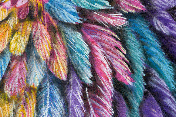 Feathers Wall Art